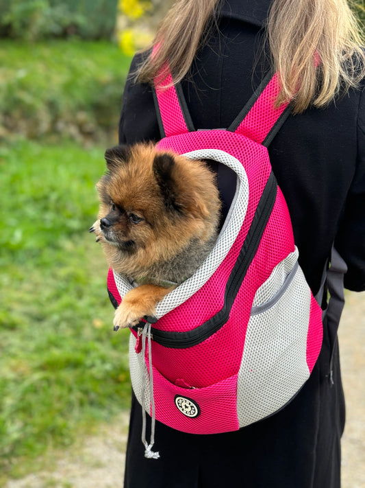 Hunde-Rucksäcke: Die perfekte Lösung für Abenteuer mit deinem Vierbeiner