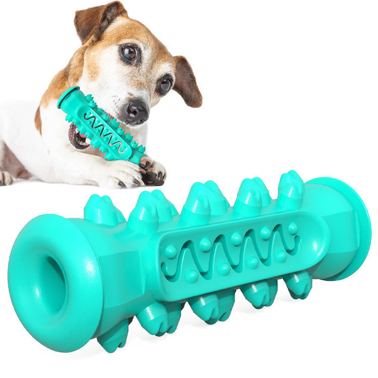Hundezahnbürste – Sanfte & effektive Zahnpflege für deinen Vierbeiner! 🦷🐶