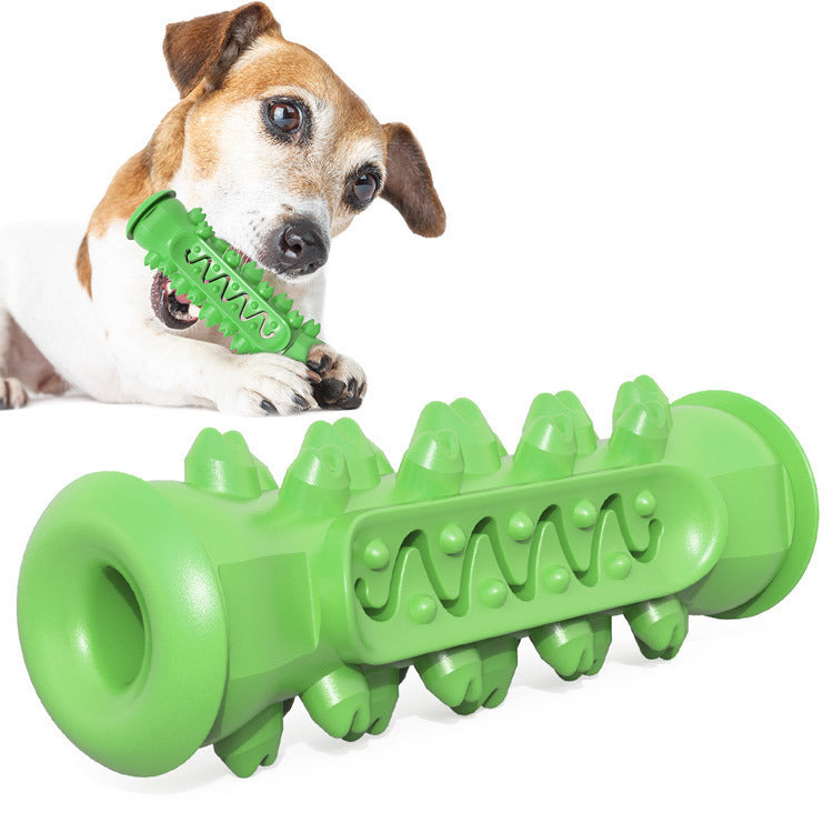 Hundezahnbürste – Sanfte & effektive Zahnpflege für deinen Vierbeiner! 🦷🐶