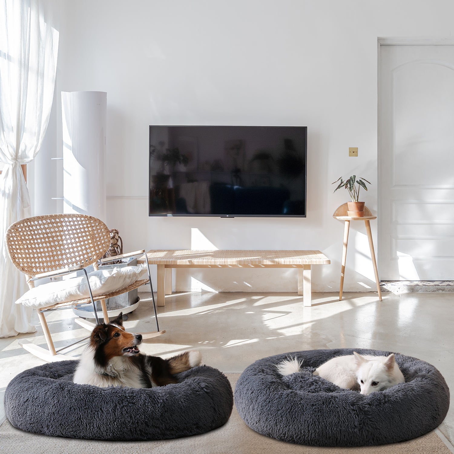 Flauschiges Donut-Hundebett | ATTADEX