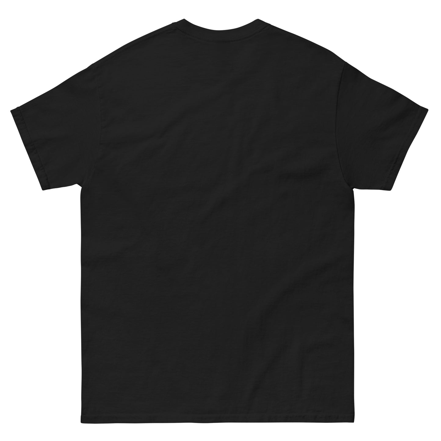 ICH HABE ERFOLG IN DEM WAS ICH TUE BESONDERS IM NICHTSTUN Klassisches T-Shirt