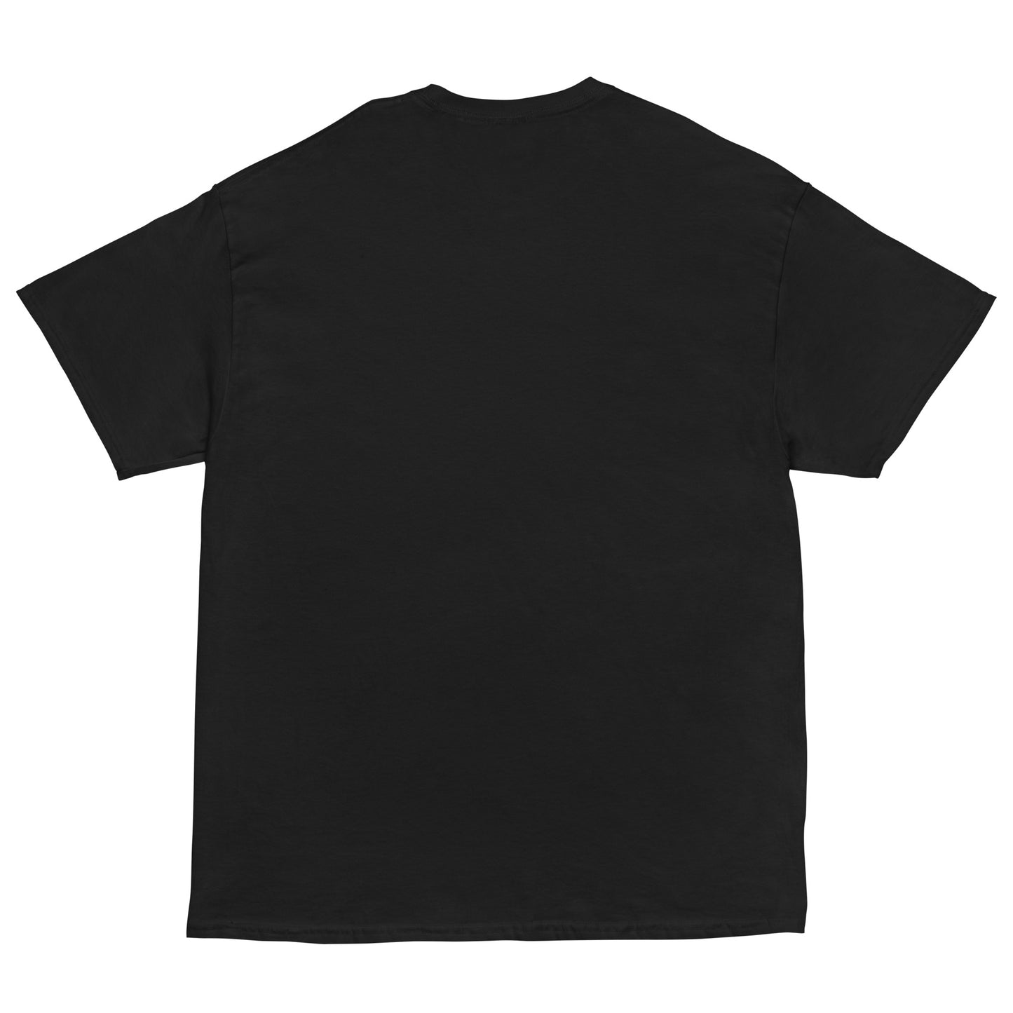 ICH HABE ERFOLG IN DEM WAS ICH TUE BESONDERS IM NICHTSTUN Klassisches T-Shirt