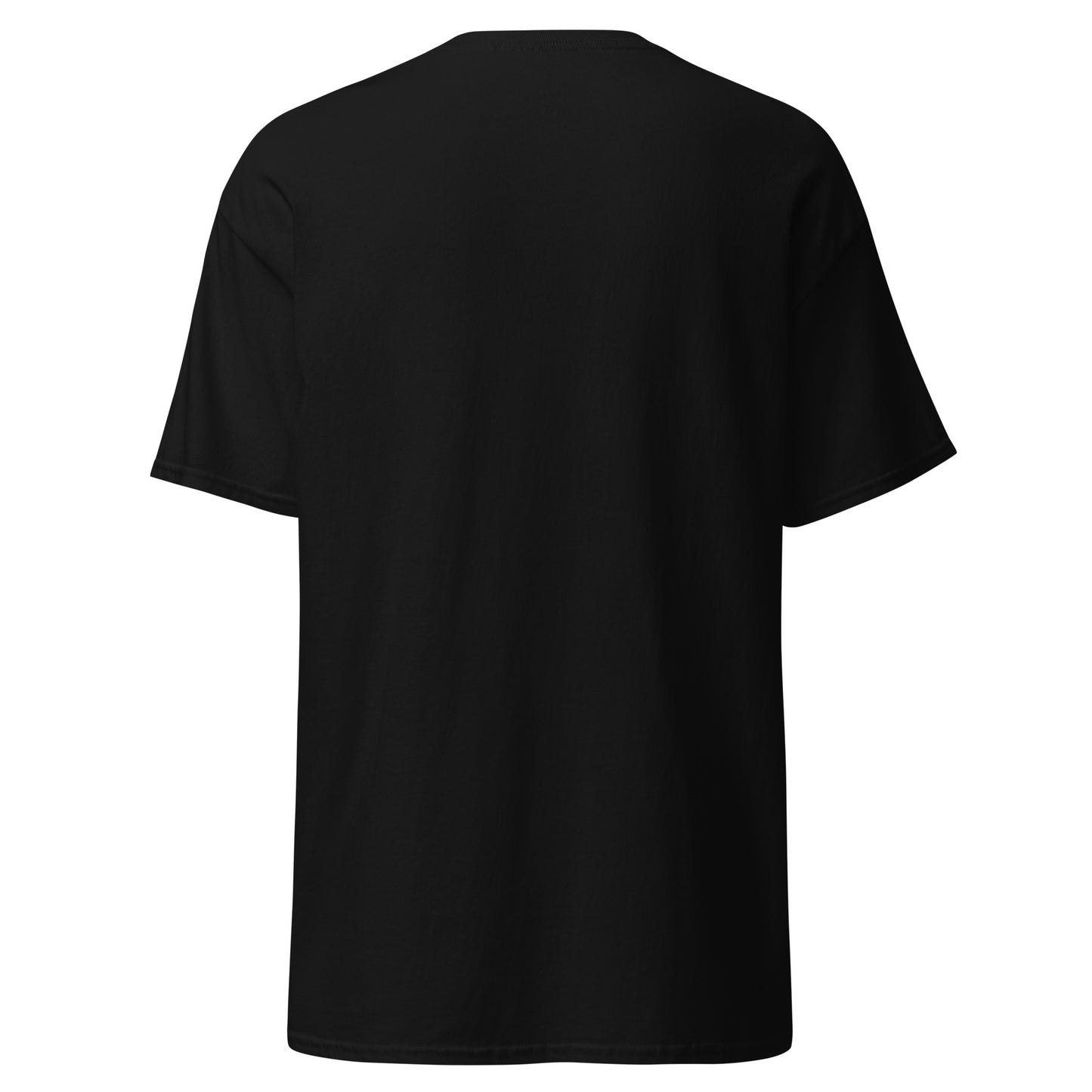 ICH HABE ERFOLG IN DEM WAS ICH TUE BESONDERS IM NICHTSTUN Klassisches T-Shirt