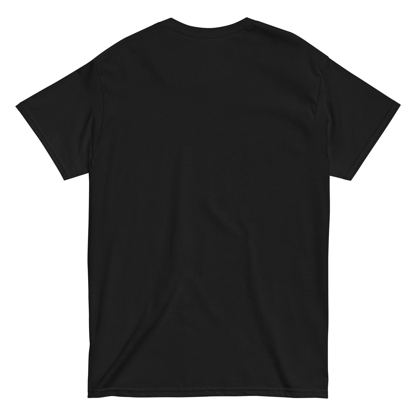 ICH HABE ERFOLG IN DEM WAS ICH TUE BESONDERS IM NICHTSTUN Klassisches T-Shirt