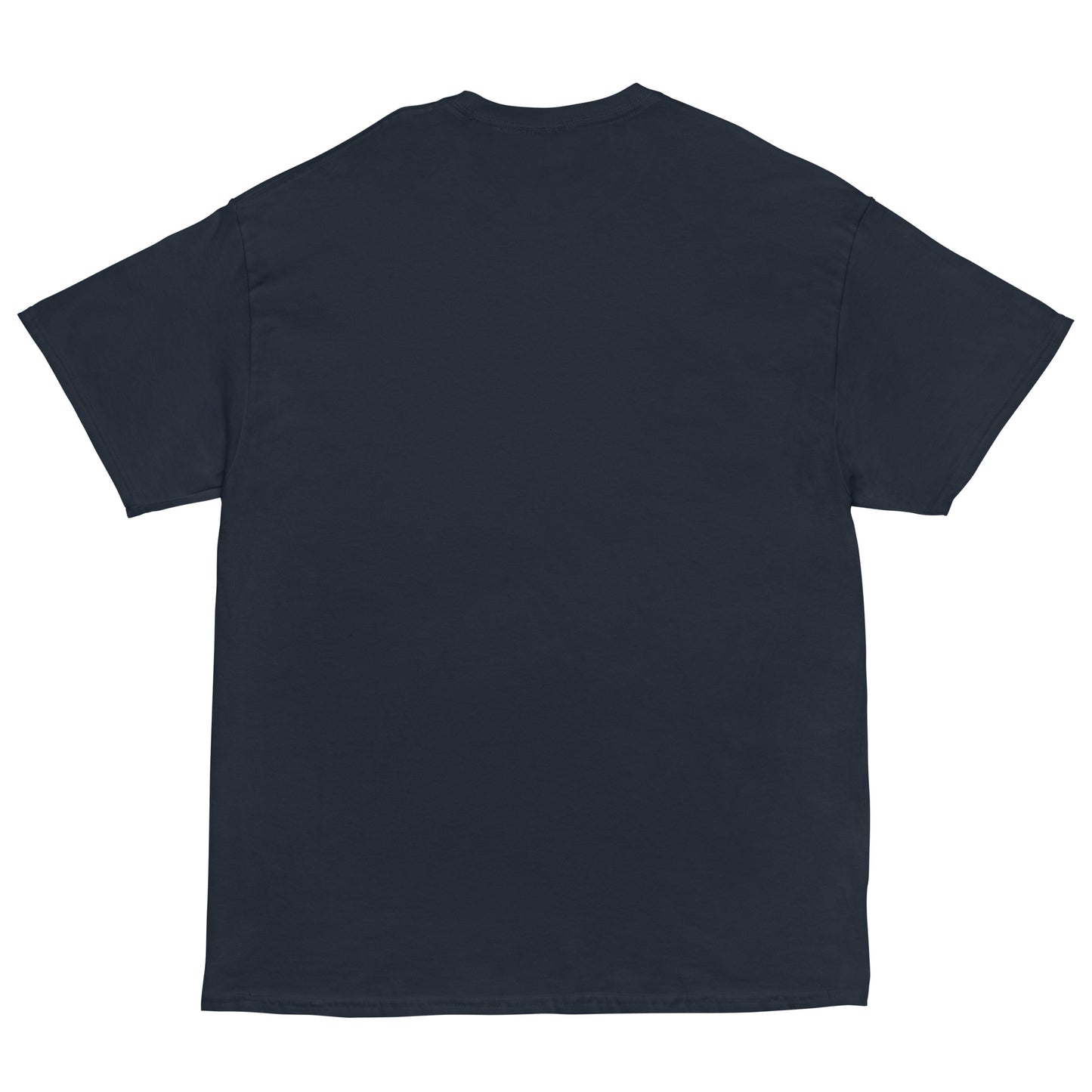 ICH HABE ERFOLG IN DEM WAS ICH TUE BESONDERS IM NICHTSTUN Klassisches T-Shirt