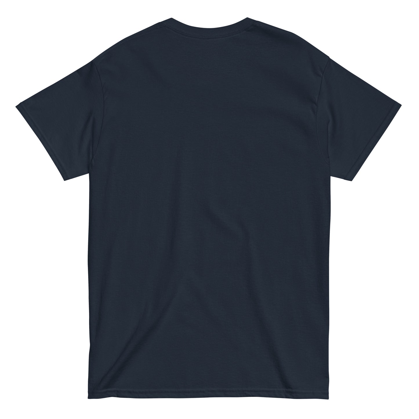 ICH HABE ERFOLG IN DEM WAS ICH TUE BESONDERS IM NICHTSTUN Klassisches T-Shirt