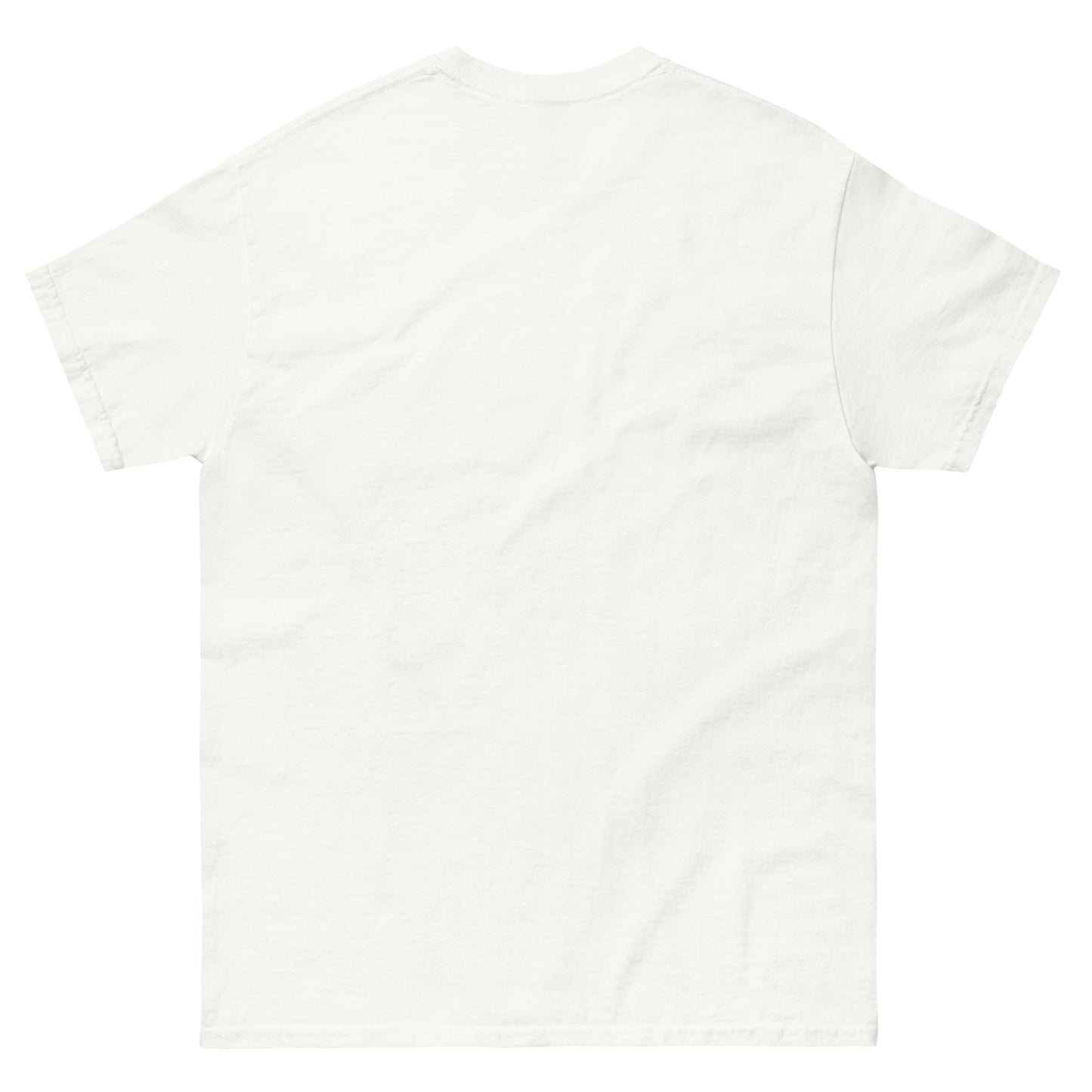 ICH HABE ERFOLG IN DEM WAS ICH TUE BESONDERS IM NICHTSTUN Klassisches T-Shirt