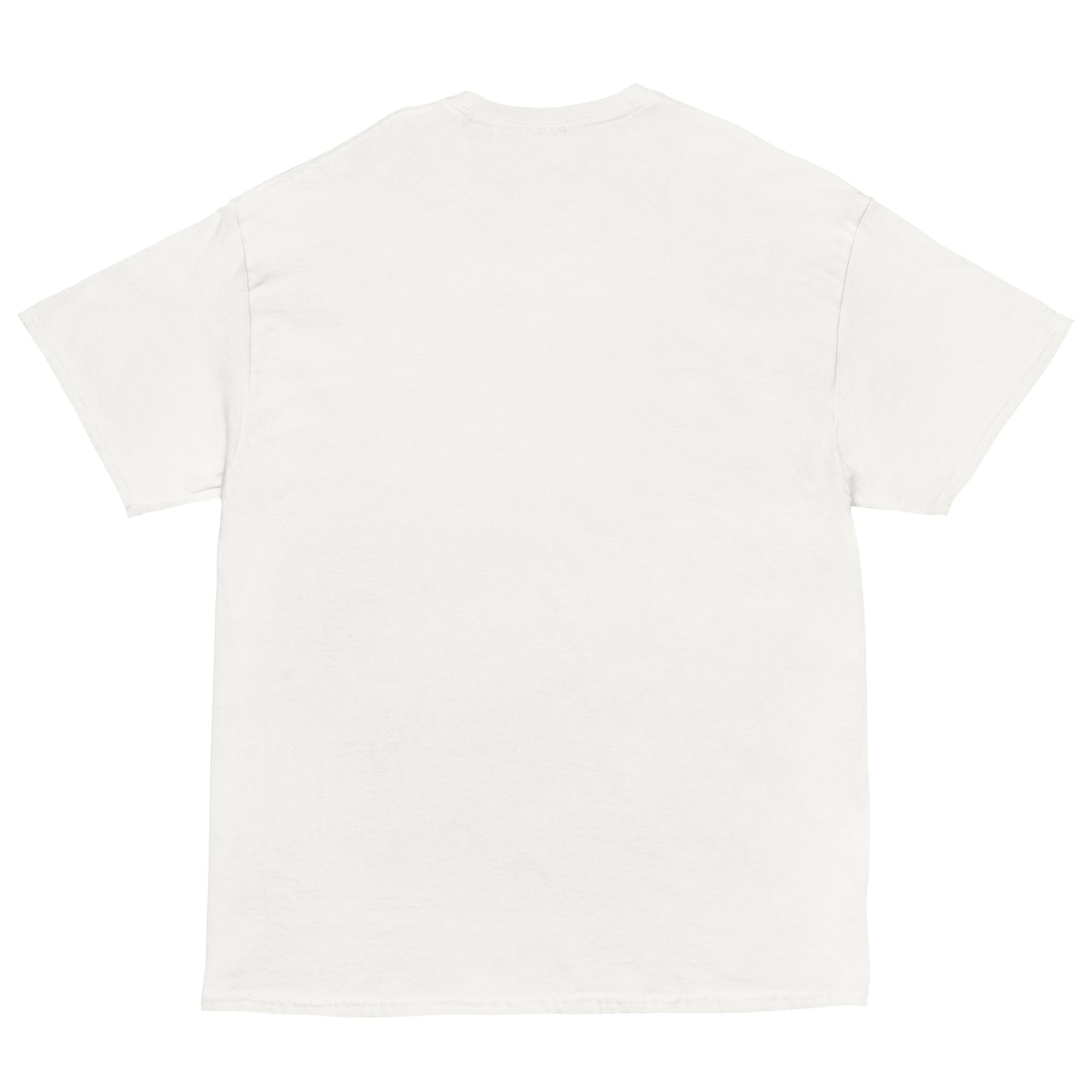 ICH HABE ERFOLG IN DEM WAS ICH TUE BESONDERS IM NICHTSTUN Klassisches T-Shirt