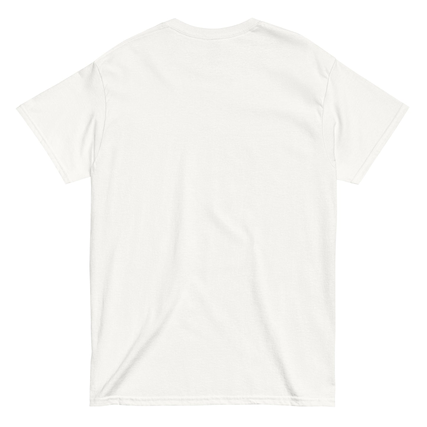 ICH HABE ERFOLG IN DEM WAS ICH TUE BESONDERS IM NICHTSTUN Klassisches T-Shirt
