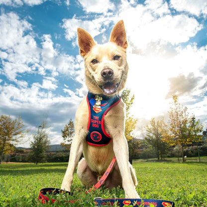 Hundegeschirr DC Pets Blau XS/S-10 | Freunde für immer | ATTADEX